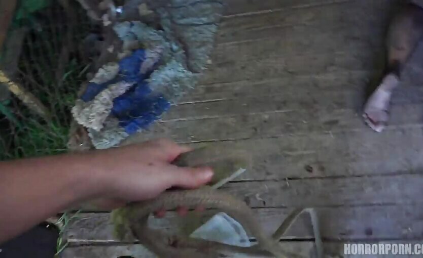 Horror Porn 9 Wild Beast