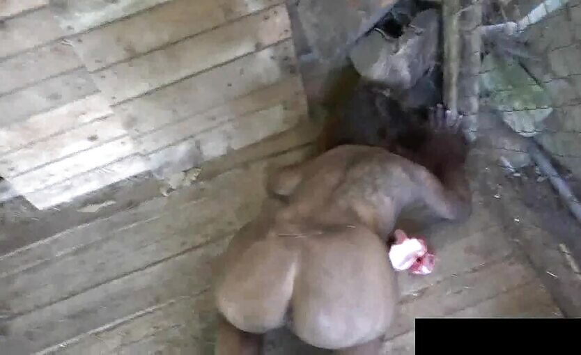 Wild Beast Horror Sex