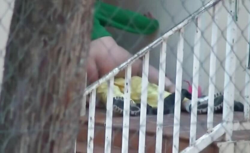 Caught Outdoors Fuck Compilation