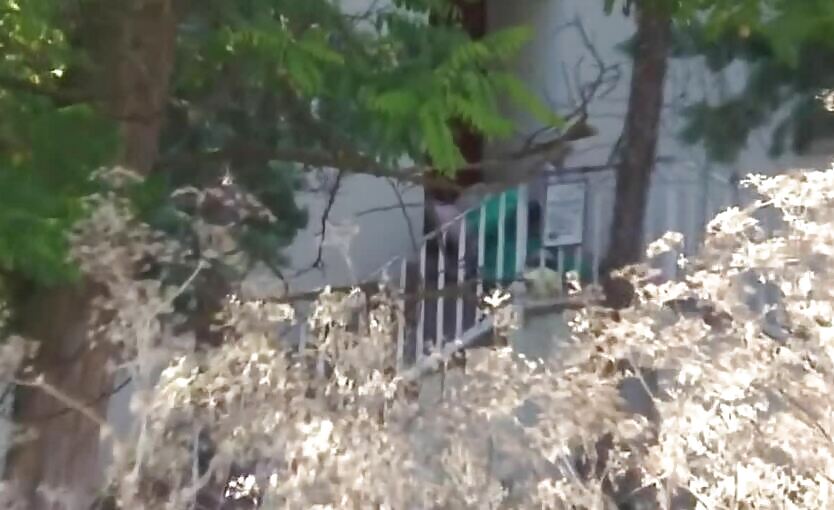 Caught Outdoors Fuck Compilation