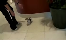 Stepson Gives Her Stepmother Orgasm For Mothers Day