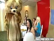 Tons Of Handjobs And Blowjobs Dancing Bear