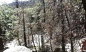 Sparks Go Wild And Great Fuck In National Forest