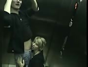Teen Gives Large Dick A Rubbing And Sucking On Elevator